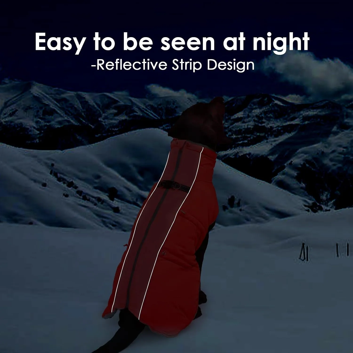 Medium Dog Coat Dog Winter Jacket,Warm Zip Up Snowsuit Dog Harness Vest Reflective Water-Resistant Dog Coat Dog Snow Jacket for Medium Dogs Jack Russell, Mini Schnauzer, Red