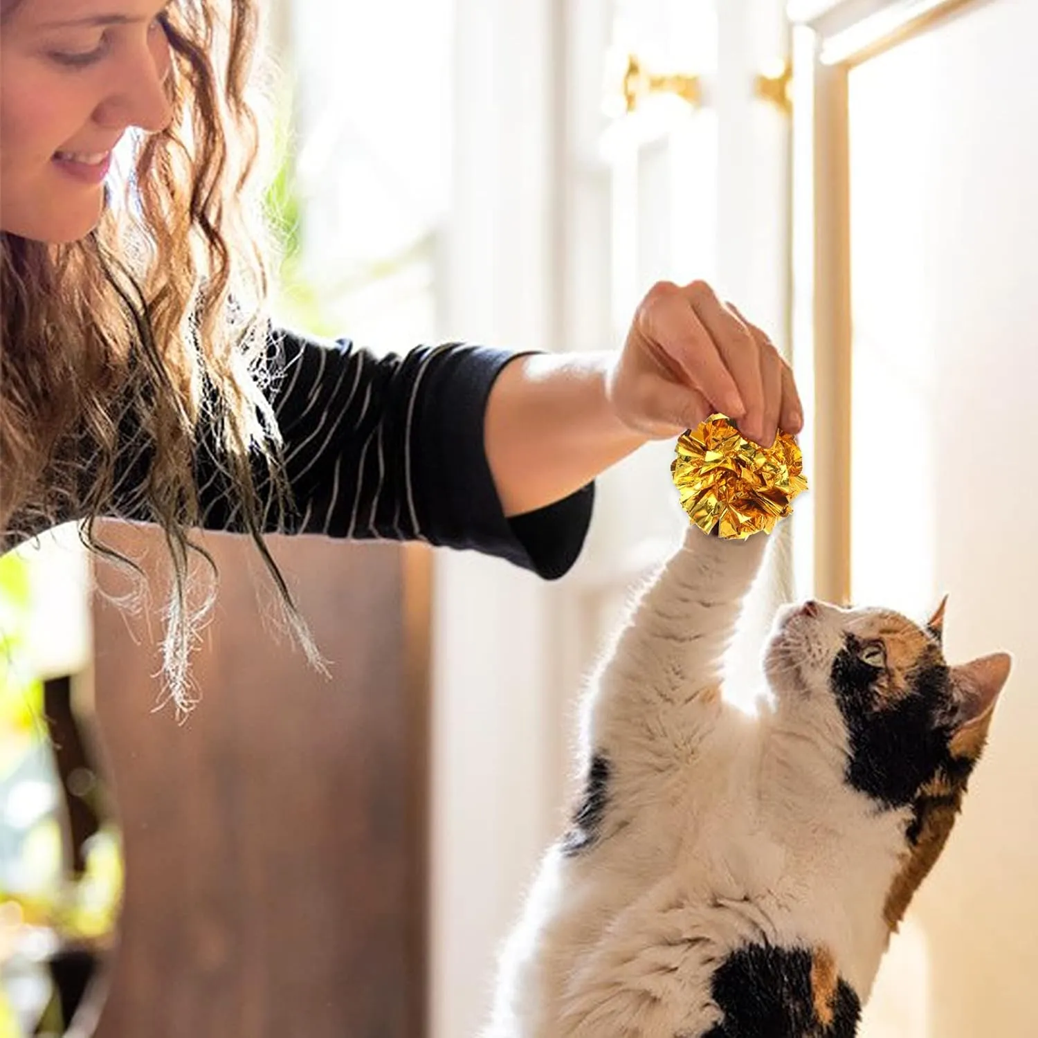 Mylar Crinkle Balls Cat Toys