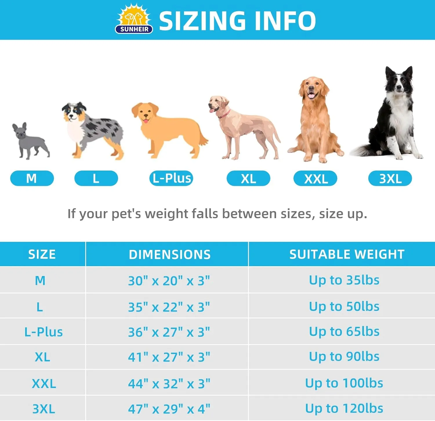Orthopedic Dog Bed for Large Dogs, Removable Waterproof Cover and Egg-Crate Foam, Machine Washable (Grey, 24.0" L x 16.0" W x 3.0" Th)