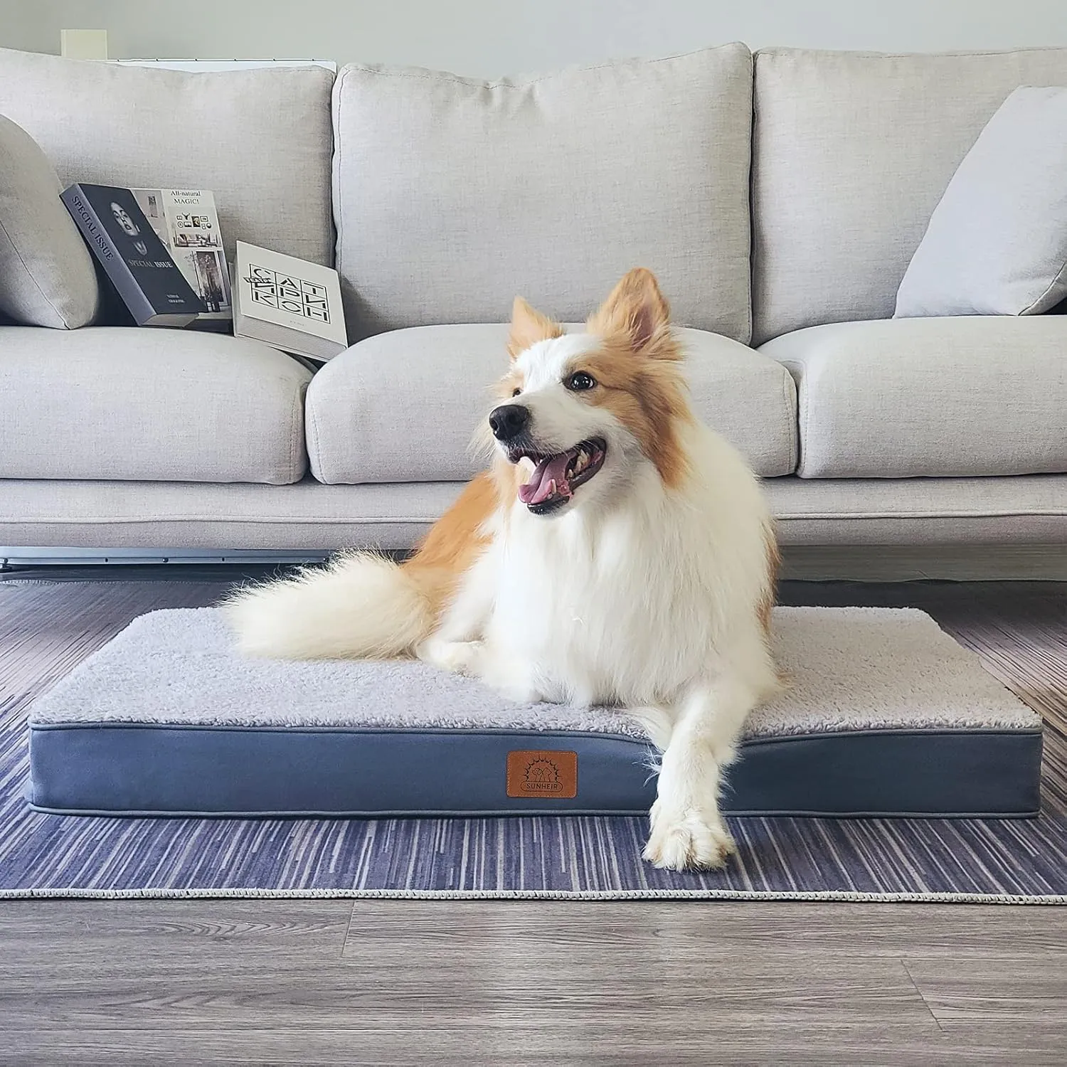 Orthopedic Dog Bed for Large Dogs, Removable Waterproof Cover and Egg-Crate Foam, Machine Washable (Grey, 24.0" L x 16.0" W x 3.0" Th)