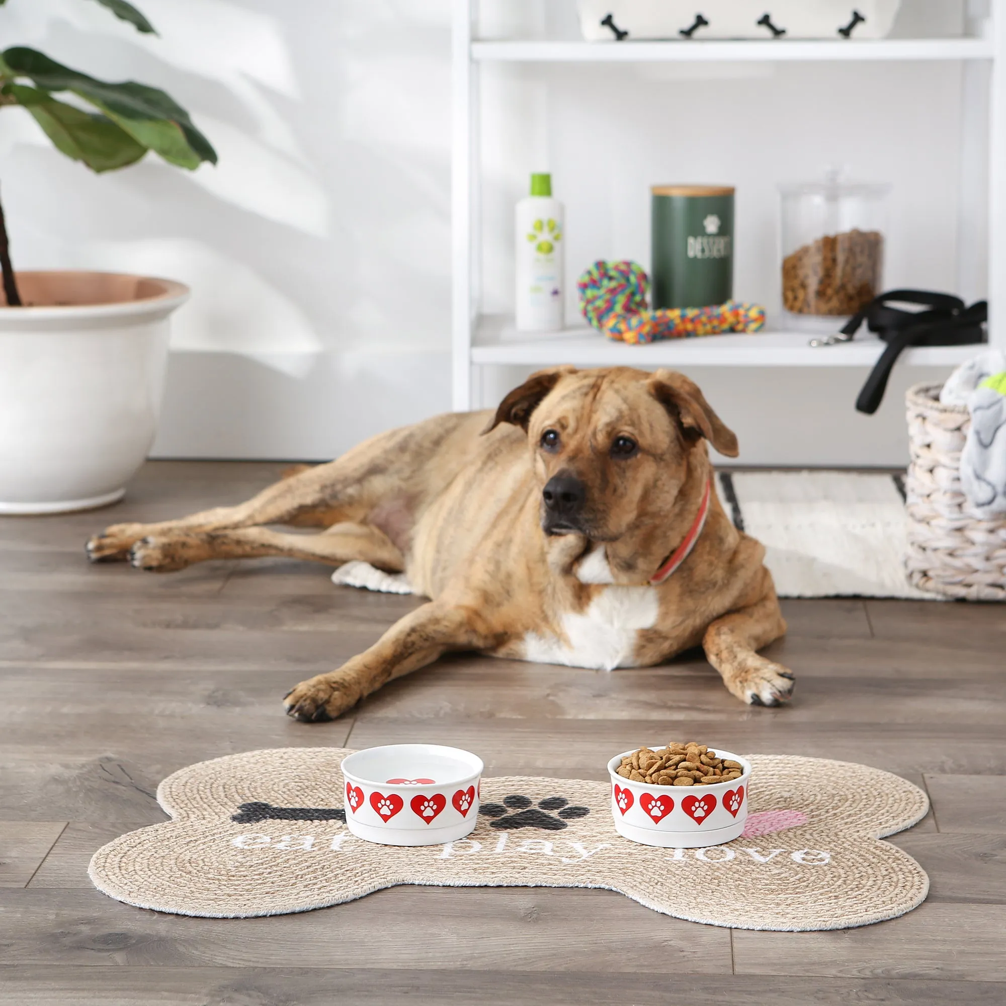 Pet Bowl Heart Paw Small 4.25Dx2H Set of 2