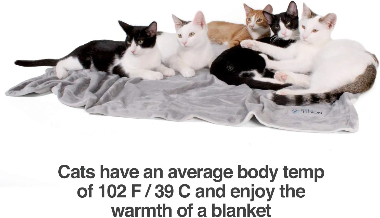 PetFusion Premium Dog & Cat Blanket | Ultra Soft Pet Blanket Available in Plush or Quilted; 2 Colors (Grey; Brown) | Perfect for Small Dogs & Large Dogs