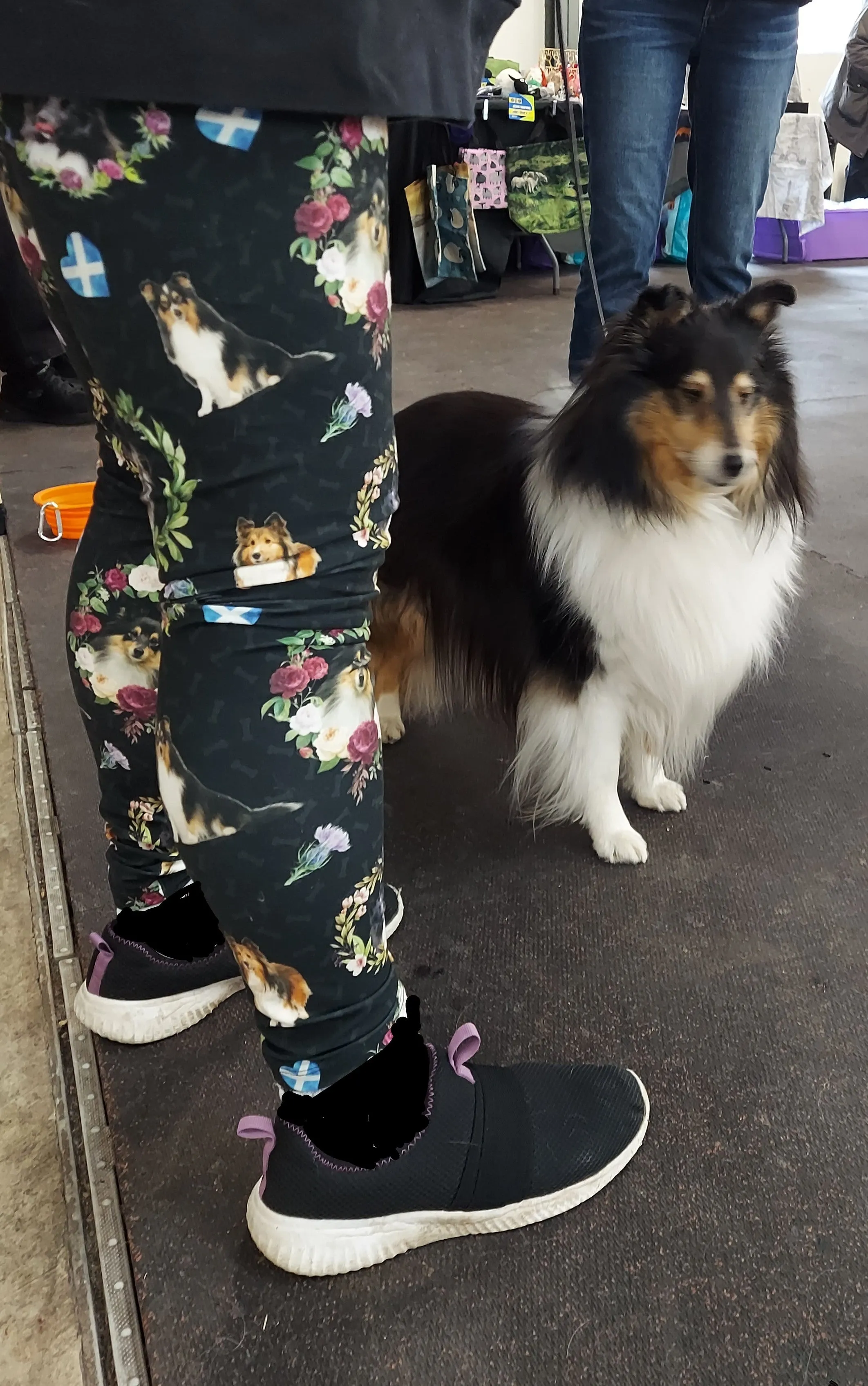Sheltie Shetland Sheepdog Breed Ladies Leggings Perfect for Agility