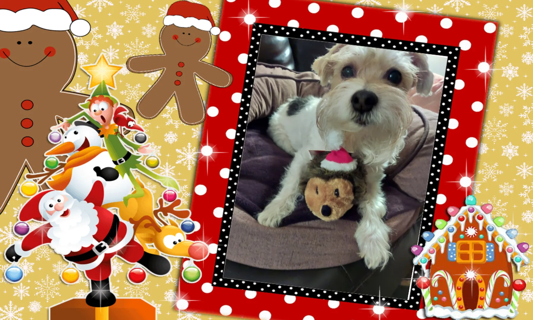 Small Christmas Holiday Hedgehog Plush Dog Toy with Santa Claus Hat