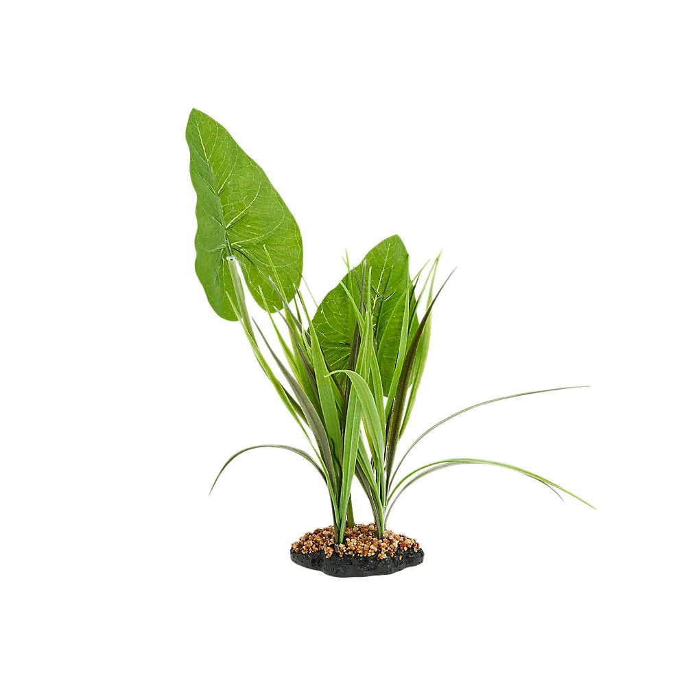 Thrive Tropical Canopy Plant