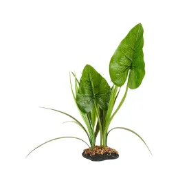 Thrive Tropical Canopy Plant