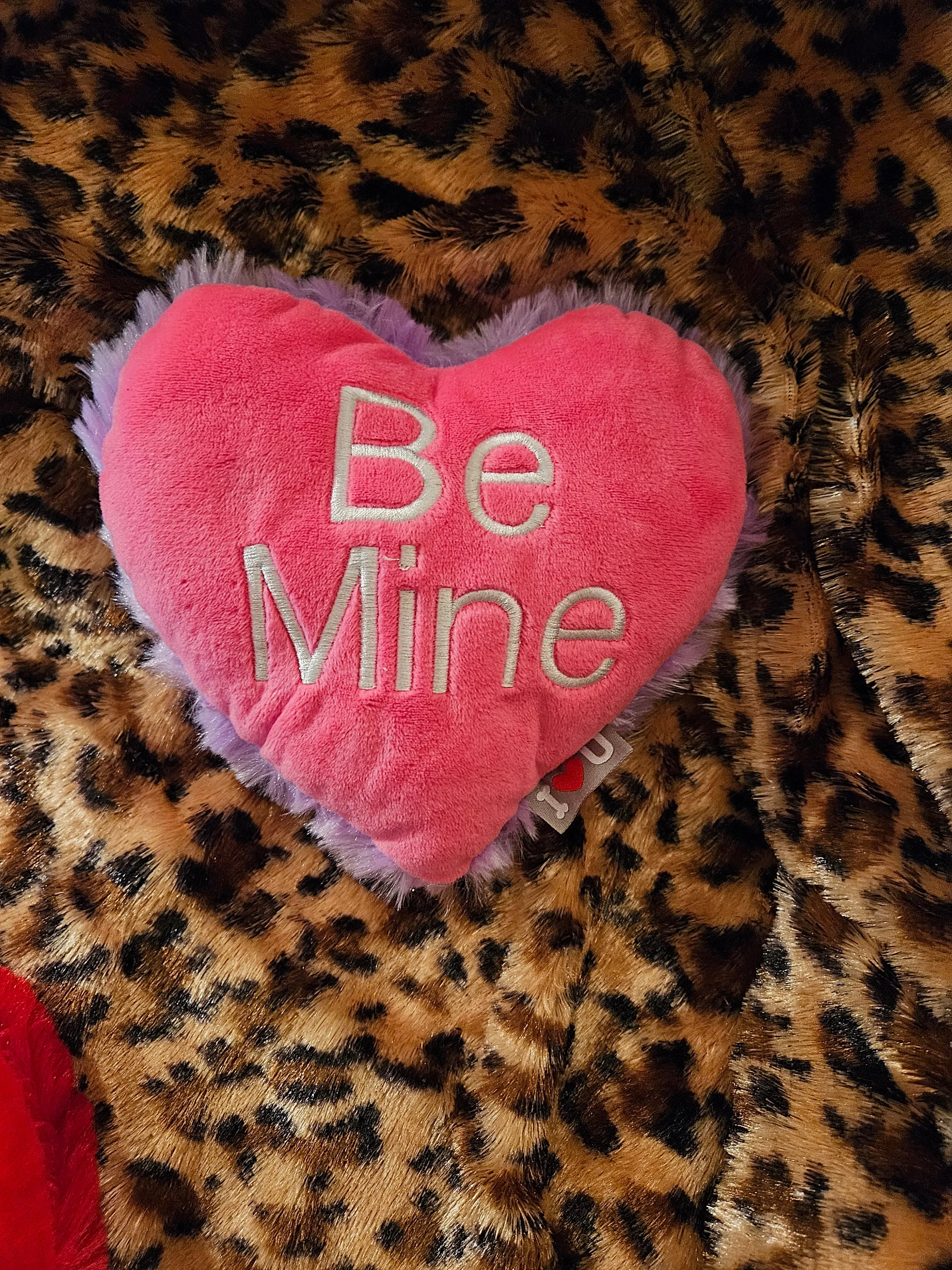 Valentine's Day Plush Dog Conversation Hearts Toy Made in the USA