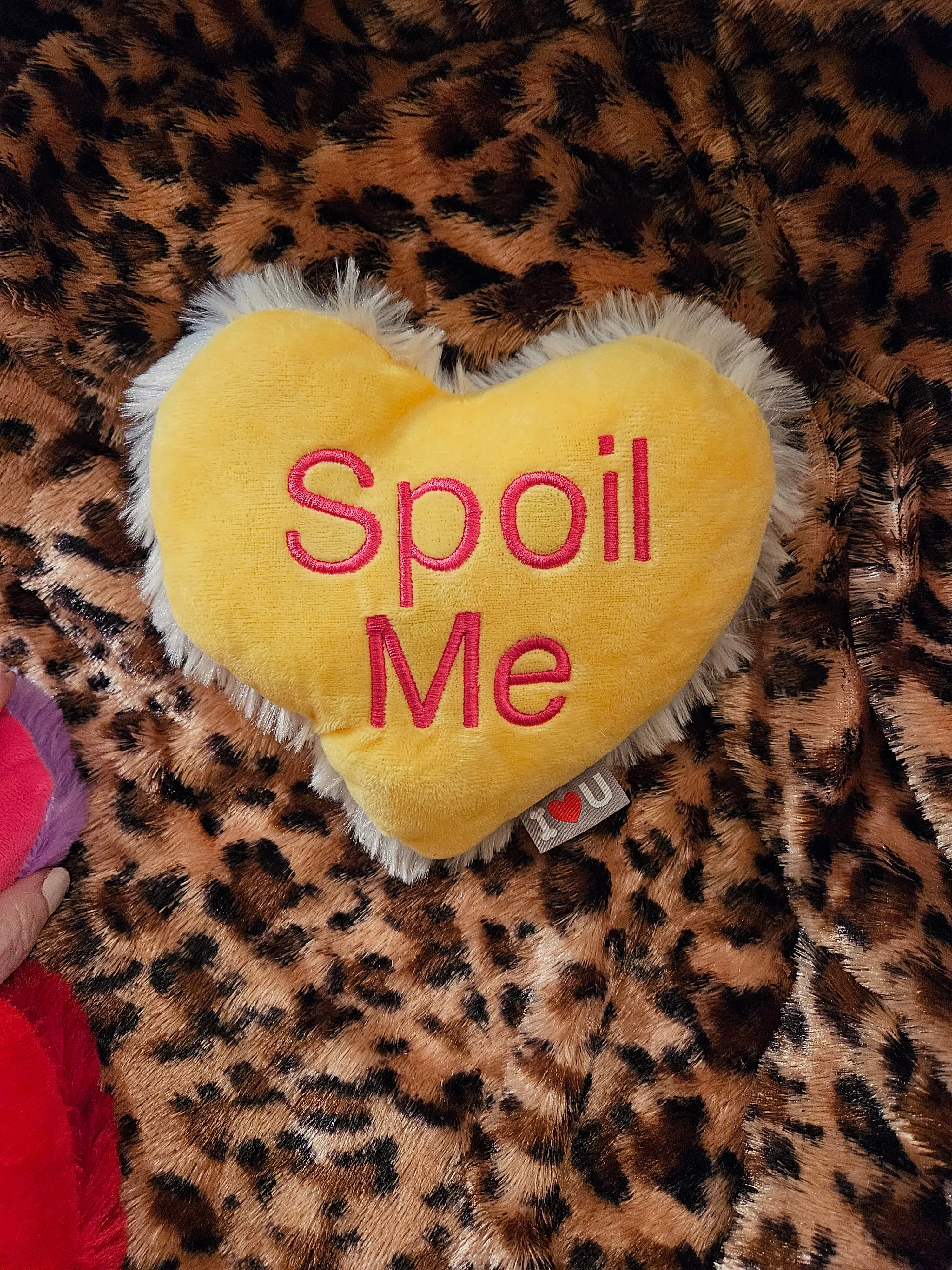 Valentine's Day Plush Dog Conversation Hearts Toy Made in the USA