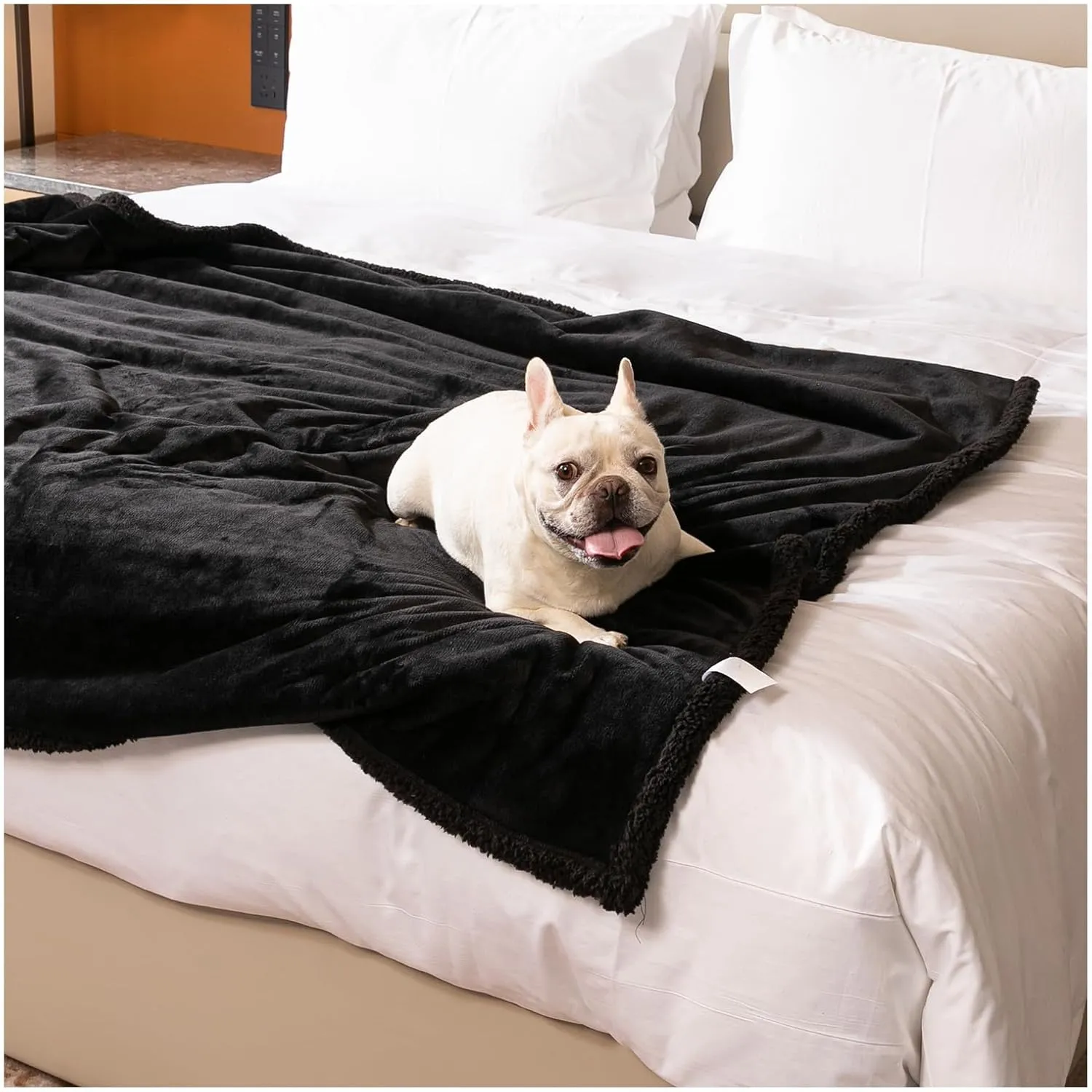 Waterproof Dog Blanket Reversible Pet Bed Cover Puppy Blankets Leakproof Sofa Couch Washable Cover Cat Fluffy Black Pet Blanket for Warm-L