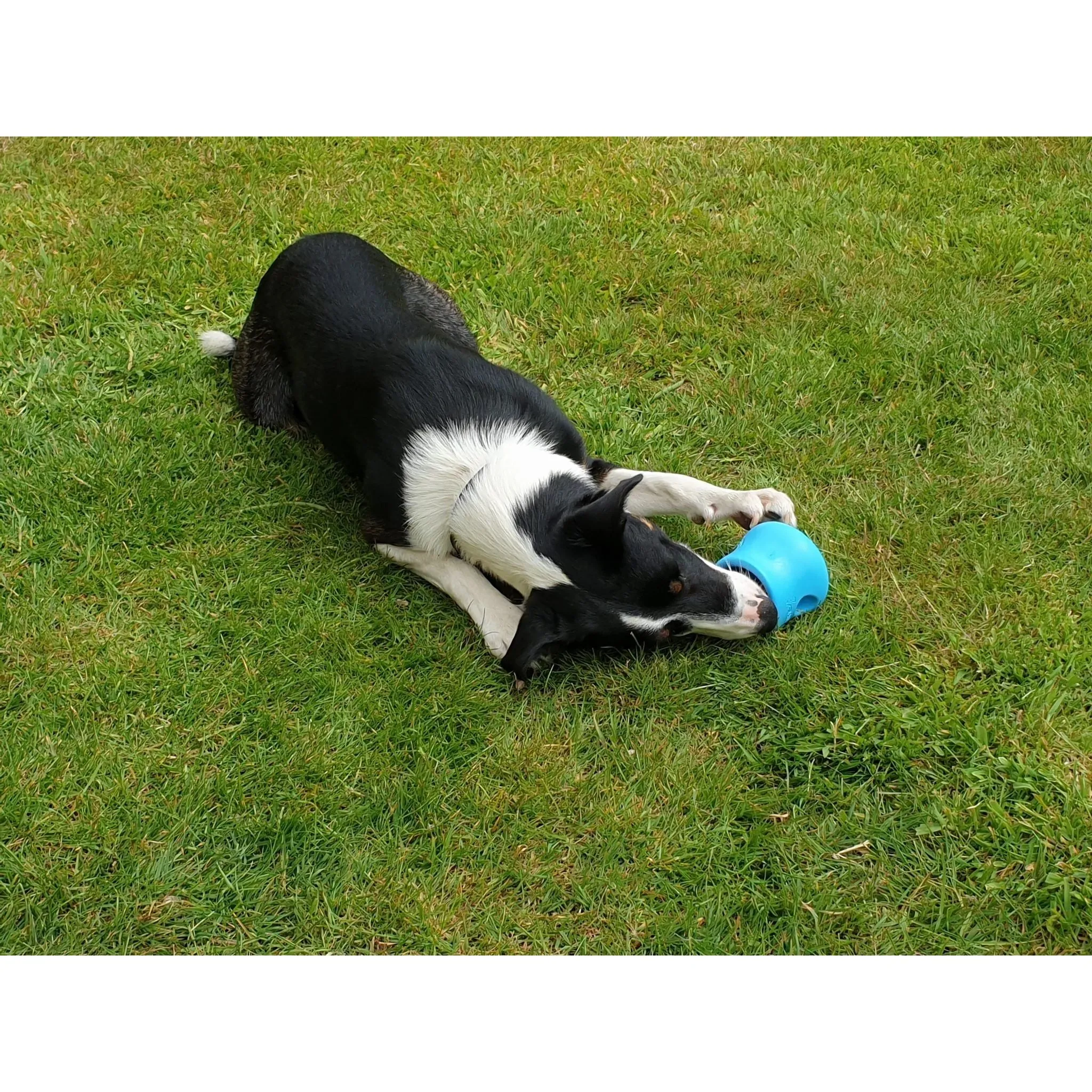 West Paw Zogoflex Toppl Treat Dispensing Dog Toy Puzzle Large