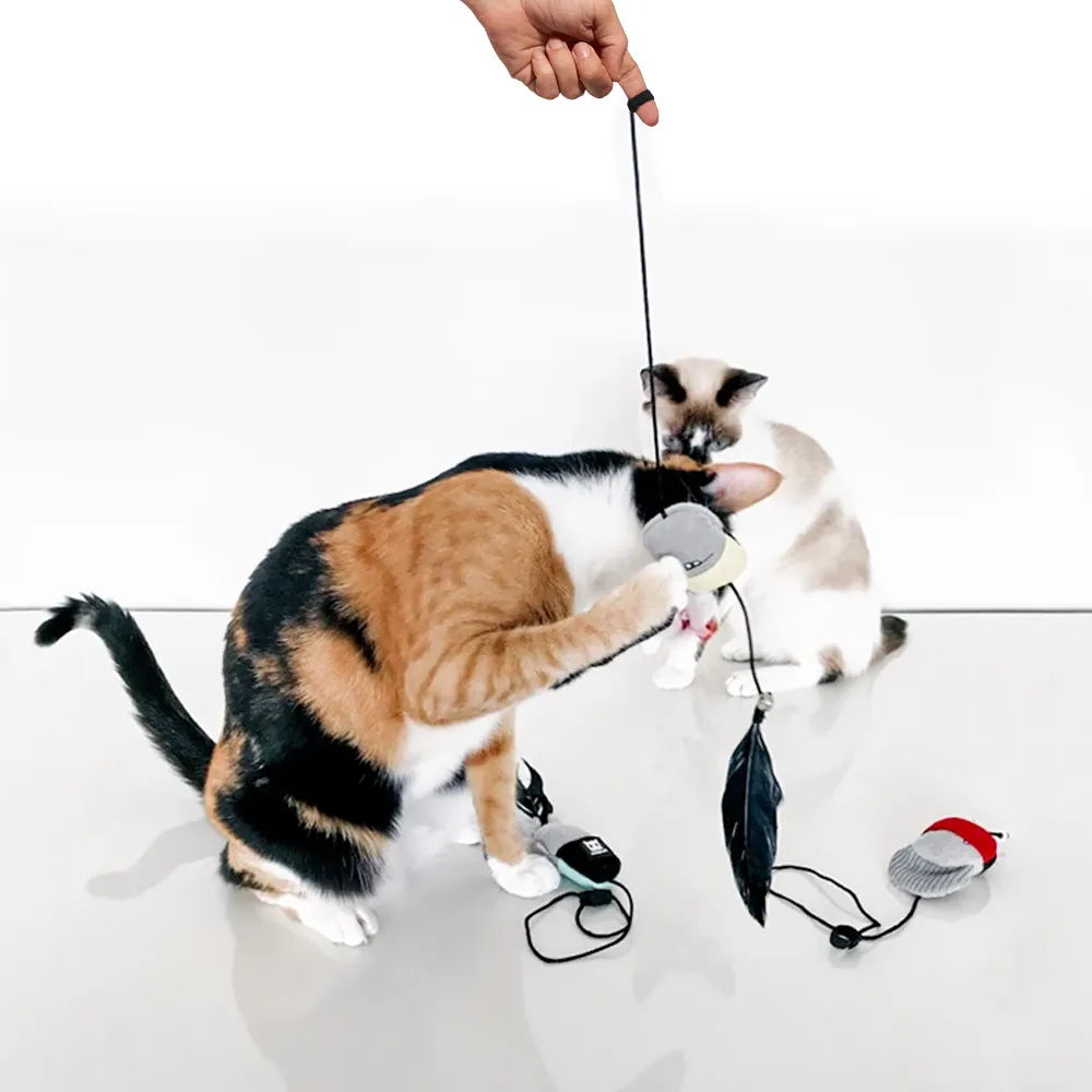 Zee.Cat Finger Puppets Cat Toy